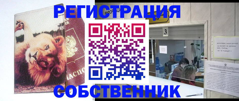 прописка поиск в Северске